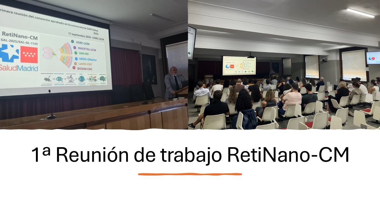 Primera reunión de trabajo RetiNano-CM